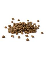 PURINA Cat Chow Adult Duck Karma z kaczką 15kg