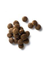 Faunakram Complete Super Premium Grain Free sucha karma dla psów z jagnięciną i kurczakiem 10kg