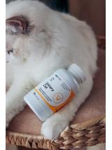 Lab-v Urinary Cat – Wsparcie układu moczowego dla kotów 90 kapsułek