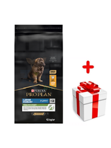 Purina Pro Plan Large Puppy Robust Optistart, kurczak i ryż 12kg  + niespodzianka dla psa GRATIS!