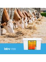 Lab-v Biopro Vet - Mieszanka Paszowa Uzupełniająca Mineralna Dla Przeżuwaczy O Dużym Zapotrzebowaniu Energetycznym 1,2kg