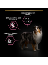 Purina Pro Plan Medium & Large 7+ Sensitive Optiderma, łosoś i ryż 14kg  + niespodzianka dla psa GRATIS!