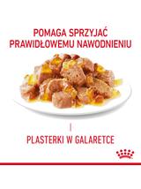 ROYAL CANIN Hair&Skin 12x85g w galaretce karma mokra w galaretce dla kotów dorosłych, zdrowa skóra, piękna sierść + niespodzianka dla kota GRATIS!