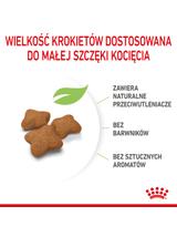 ROYAL CANIN  Kitten Sterilised 2kg karma sucha dla kociąt od 6 do 12 miesiąca życia, sterylizowanych