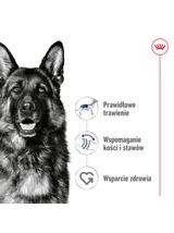 ROYAL CANIN Maxi Adult 4kg karma sucha dla psów dorosłych, do 5 roku życia, ras dużych + NIESPODZIANKA DLA PSA GRATIS!!