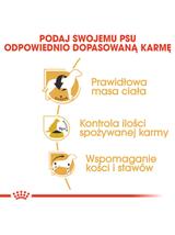ROYAL CANIN Beagle Adult 12kg karma sucha dla psów dorosłych rasy beagle
