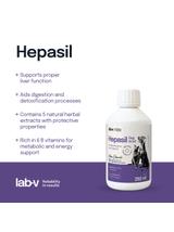 Lab-v Hepasil Dog & Cat preparat na poprawę funkcjonowania wątroby dla psa i kota 250 ml