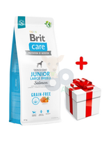 BRIT CARE Dog Grain-free Junior Large Breed Salmon 12kg + niespodzianka dla psa GRATIS!