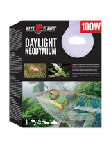 RP Żarówka  Daylight Neodymium 100W