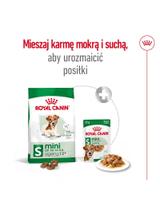 ROYAL CANIN Mini Ageing 12+ 12x85g  karma mokra w sosie dla psów dojrzałych po 12 roku życia, ras małych