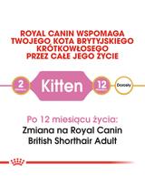 ROYAL CANIN British Shorthair Kitten 2kg karma sucha dla kociąt, do 12 miesiąca, rasy brytyjski krótkowłosy