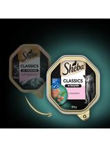 SHEBA Classics tacka 22x85 g – mokra karma pełnoporcjowa dla dorosłych kotów, z łososiem, w terynie