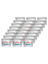 ROYAL CANIN Hypoallergenic DR21 24x200g puszka