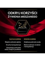 PRO PLAN Veterinary Diets DM St/Ox Diabetes Management Karma sucha dla kota 5kg Opakowanie uszkodzone (2582,2889,4929,6373)