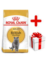 ROYAL CANIN British Shorthair 10kg karma sucha dla kotów dorosłych rasy brytyjski krótkowłosy + niespodzianka dla kota GRATIS!