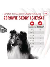 Royal Canin Supplements Skin and Coat Adult Dog  240g