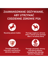 PURINA ONE Sensitive Medium/Maxi Karma dla dorosłych psów bogata w łososia z ryżem 2,5 kg