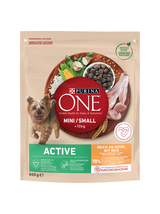 PURINA ONE Mini Active Kurczak, ryż - sucha karma dla psa - 800g /  / Opakowanie uszkodzone (8675) !!!