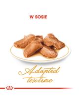 ROYAL CANIN Maine Coon Adult saszetka 12x85g (Sos)