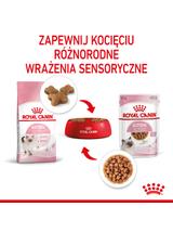 ROYAL CANIN Kitten Instinctive w sosie 12x85g karma mokra w sosie dla kociąt do 12 miesiąca życia +  NIESPODZIANKA DLA KOTA GRATIS!!