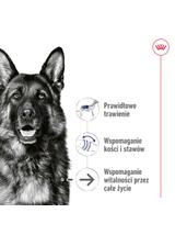 ROYAL CANIN®  Maxi Ageing 5+ 410g karma mokra , pasztet dla psów starszych od 5. roku życia, ras dużych