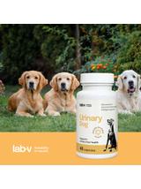 Lab-v Urinary Dog – Wsparcie przy zakażeniu dróg moczowych u psów 45 kapsułek
