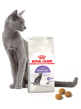 ROYAL CANIN  Sterilised 10kg karma sucha dla kotów dorosłych, sterylizowanych + niespodzianka dla kota GRATIS!