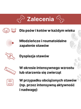 Lab-v Arthrohard 250ml Preparat na wsparcie stawów dla psa i kota