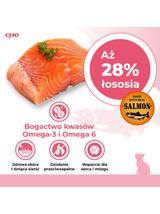 INABA CAT CHURU Salmon With Chicken 4x14g