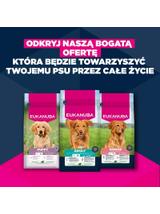 EUKANUBA Mature&Senior Large Lamb & Rice 12kg