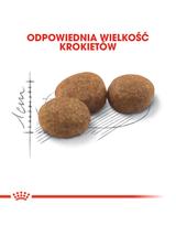 ROYAL CANIN  Sterilised 10kg karma sucha dla kotów dorosłych, sterylizowanych + Piłka dla kota GRATIS!