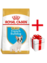 ROYAL CANIN French Bulldog Puppy 3kg karma sucha dla szczeniąt do 12 miesiąca, rasy bulldog francuski + NIESPODZIANKA DLA PSA GRATIS!!!