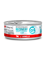 Disugual Karma mokra dla kota Weterynaryjna RECOVERY Jagnięcina (dorosły) 12x85g