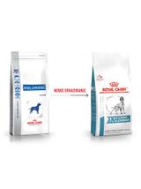 ROYAL CANIN Anallergenic AN18 3kg +NIESPODZIANKA DLA PSA GRATIS!!
