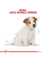 ROYAL CANIN Jack Russell Terrier Puppy 3kg karma sucha dla szczeniąt do 10 miesiąca, rasy jack russel terrier