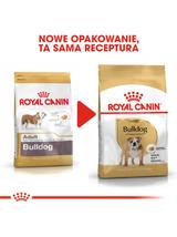 ROYAL CANIN Bulldog Adult 12kg karma sucha dla psów dorosłych rasy bulldog