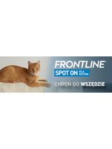 Frontline Spot On Kot dla kotów 3 x 0.5 ml