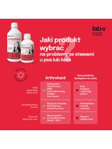 Lab-v Arthrohard 250ml Preparat na wsparcie stawów dla psa i kota