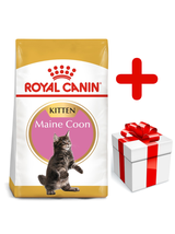 ROYAL CANIN Maine Coon Kitten 10kg +  niespodzianka dla kota GRATIS!