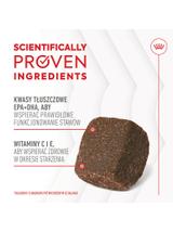 Royal Canin Joint & Ageing Adult Chews 240g