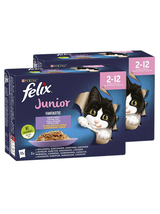 FELIX Fantastic Junior w galaretce;24x85g