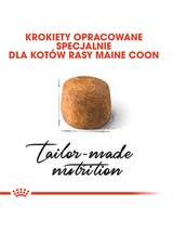 ROYAL CANIN Maine Coon Adult 4kg karma sucha dla kotów dorosłych rasy maine coon