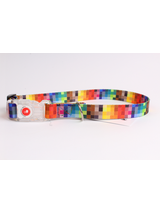 DogStuffs Obroża z klamrą LED 20mm/20-35cm piksele