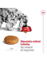 ROYAL CANIN®   Medium Adult 14,6 kg karma sucha dla psów dorosłych ras średnich, do 7 roku życia / Opakowanie uszkodzone (9529) !!!