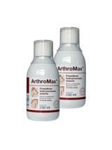 Arthromax 2x250ml