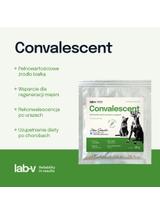 Lab-v Convalescent - karma paszowa dietetyczna dla psów i kotów 20 g