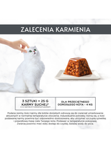 GOURMET Revelations Delikatne Kawałki w Galaretce z Kurczakiem 4x57g (2x2x57g)
