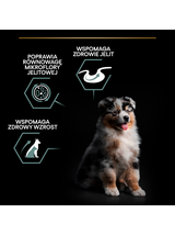 PRO PLAN Sensitive Digestion Puppy Karma dla szczeniąt bogata w jagnięcinę 12kg