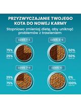 Purina One Cat Sterilcat Karma z wołowiną dla kota 2,8kg