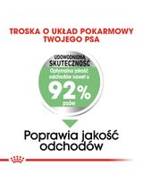 ROYAL CANIN CCN Mini Digestive Care 1kg karma sucha dla psów dorosłych, ras  małych o wrażliwym przewodzie pokarmowym